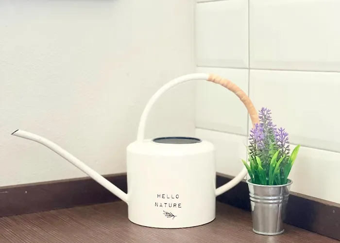 公寓 Blu Iris 莱萨